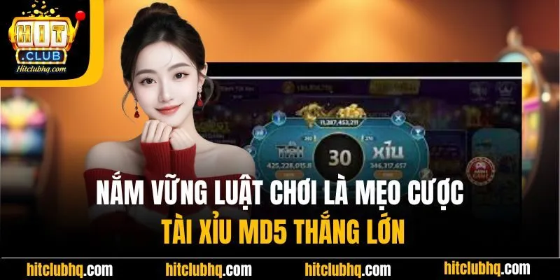 Nắm vững luật chơi là mẹo cược tài xỉu MD5 thắng lớn